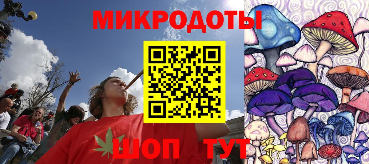 Петропавловск-Камчатский  Псилоцибиновые грибы Psilocybe  что такое наркотик  Вход с VPN 
