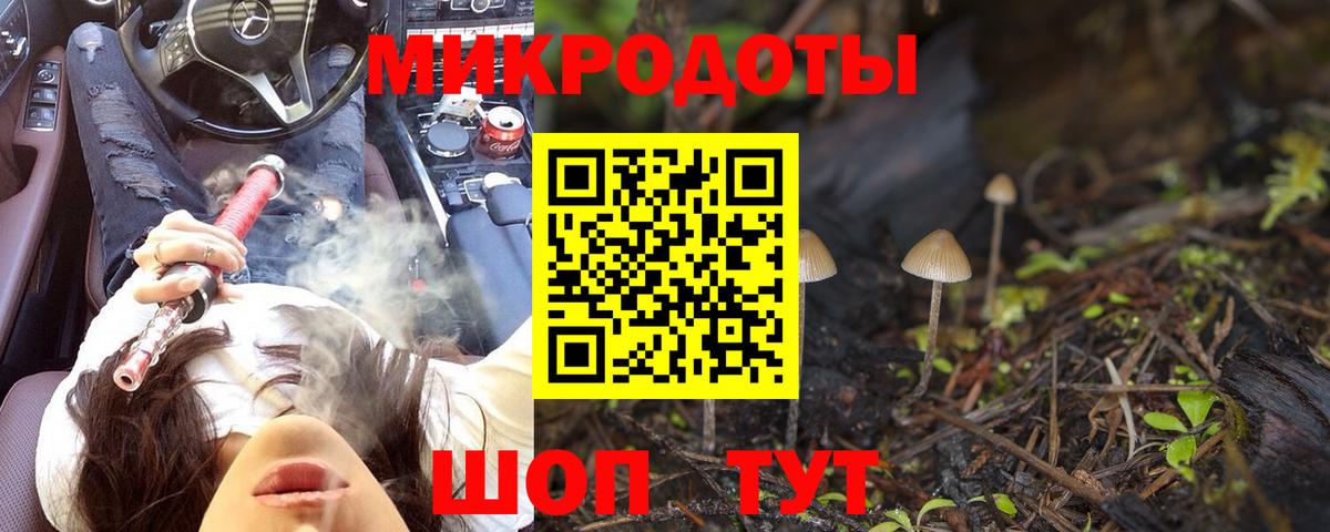 Галлюциногенные грибы Magic Shrooms Петропавловск-Камчатский